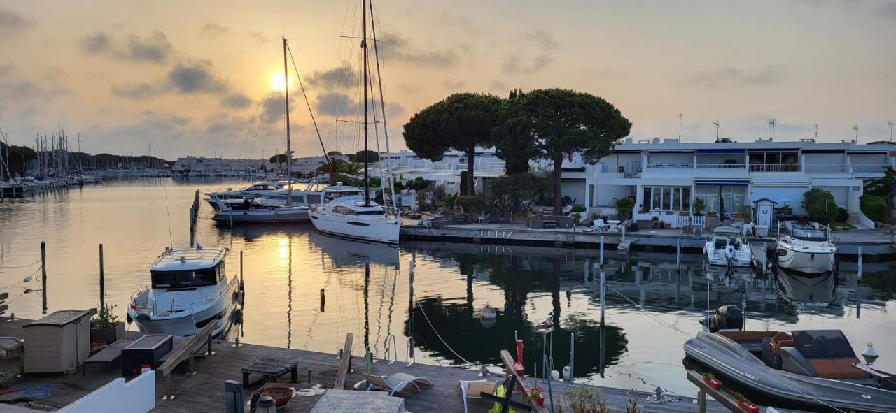 Marina Sunset